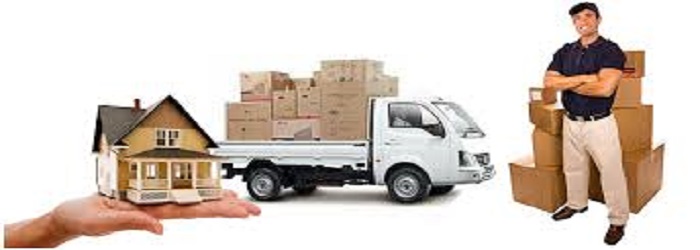 Rapid Line Movers And Packers In Thane